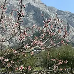 In A Quiet Area - Private Pool - Sport - Starlink - Bbq Σπίτι διακοπών Baška Voda