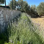 Σπίτι διακοπών In A Quiet Area - Private Pool - Sport - Starlink - Bbq *