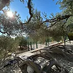 In A Quiet Area - Private Pool - Sport - Starlink - Bbq Σπίτι διακοπών