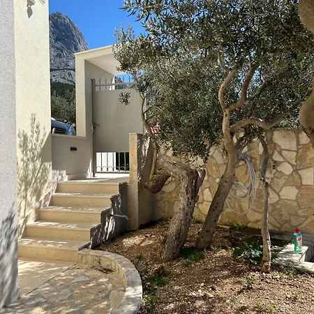 Quiet Area - Private Pool - Sport - Starlink - Bbq Holiday home