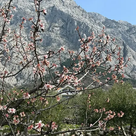 Quiet Area - Private Pool - Sport - Starlink - Bbq Holiday home Baska Voda