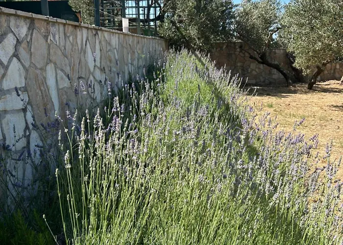Nyaraló In A Quiet Area - Private Pool - Sport - Starlink - Bbq *